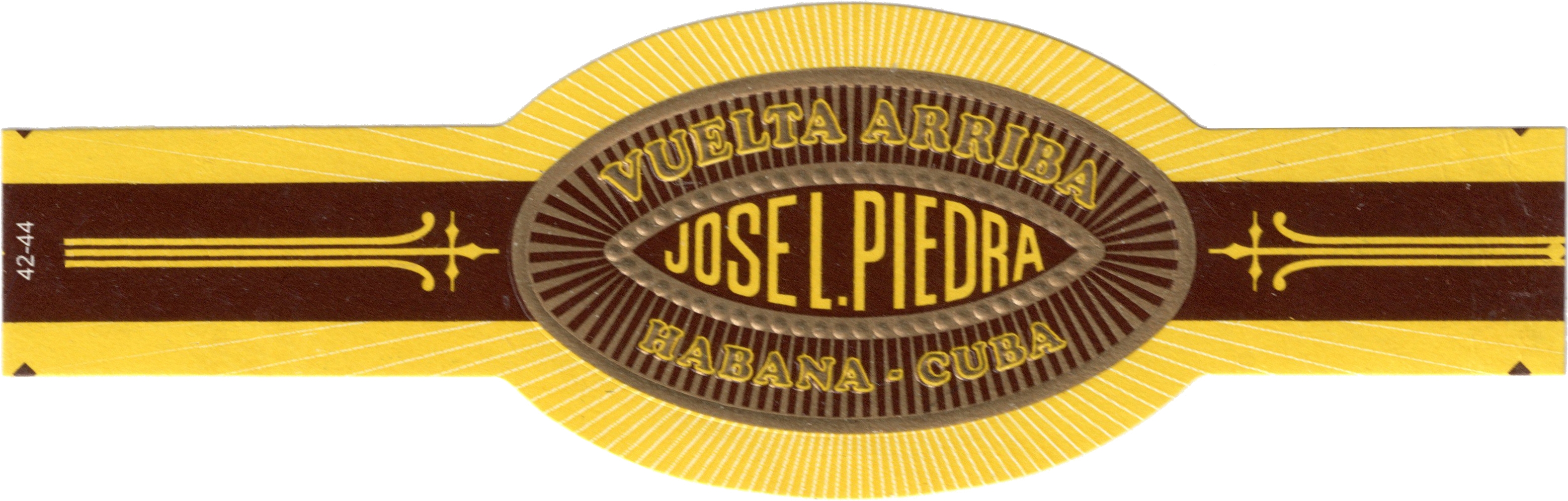 José L. Piedra.jpg